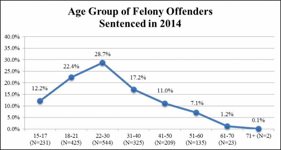 Data Chart: Age Group of Felony Offenders Sentenced in 2014